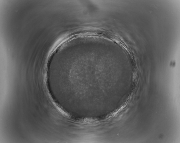 X0000098180101200805081033