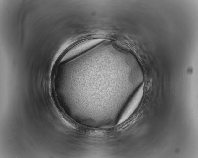 X0000098180102200805081033