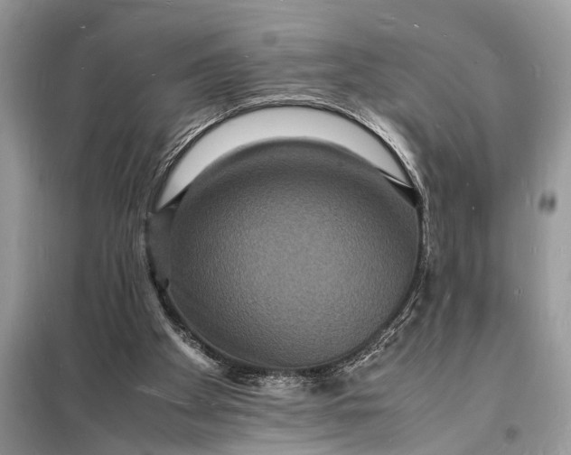 X0000098180105200805081033