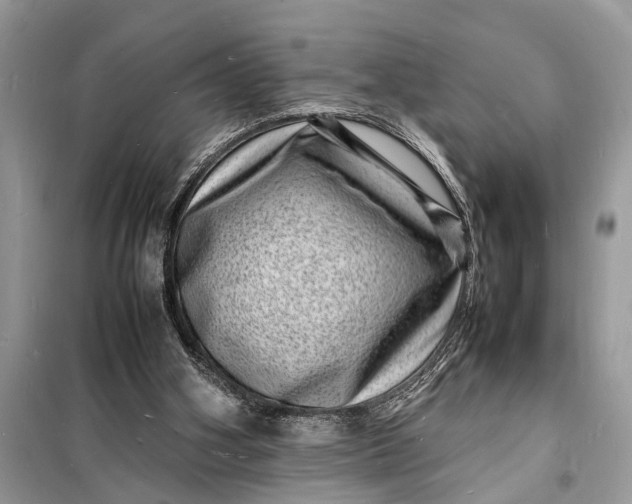 X0000098180106200805081033