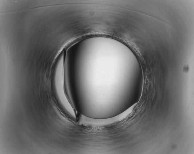 X0000098180108200805081033