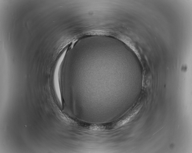 X0000098180109200805081033