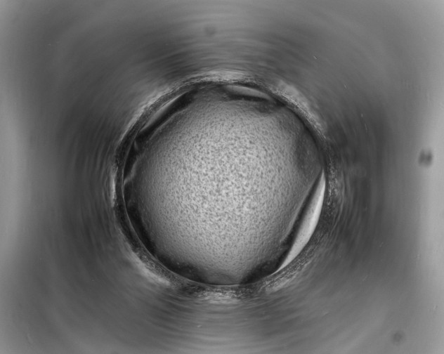 X0000098180110200805081033