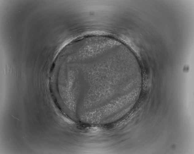 X0000098180111200805081033