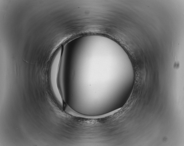 X0000098180112200805081033