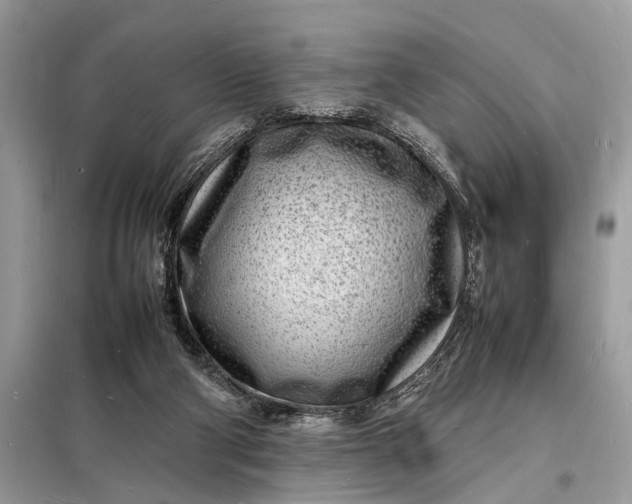 X0000098180114200805081033