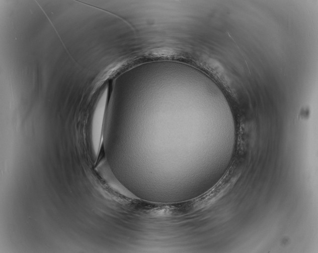 X0000098180116200805081033