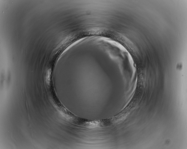 X0000098180118200805081033