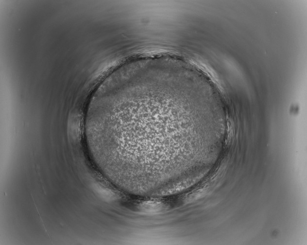 X0000098180119200805081033