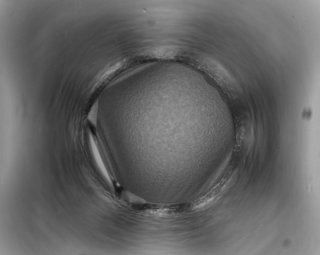 X0000098180120200805081033