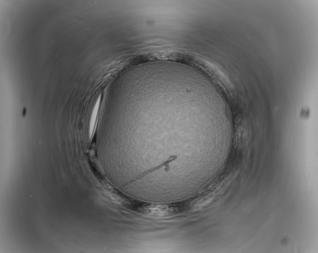 X0000098180121200805081033