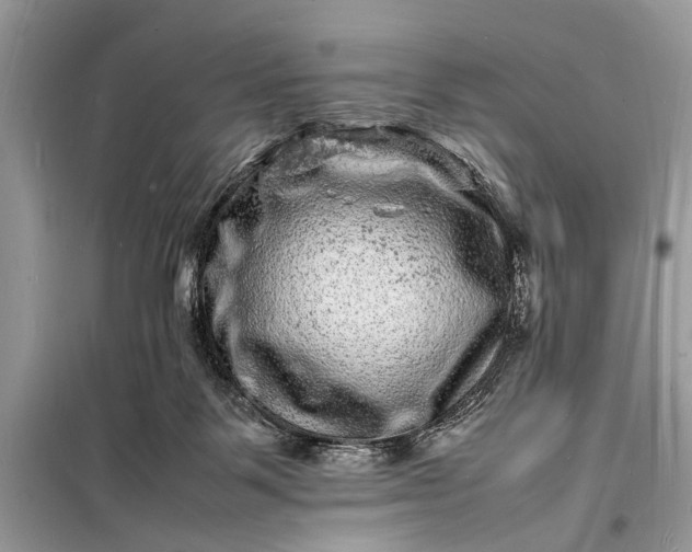 X0000098180123200805081033