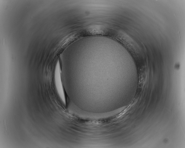 X0000098180124200805081033