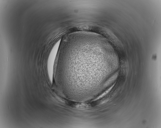 X0000098180125200805081033