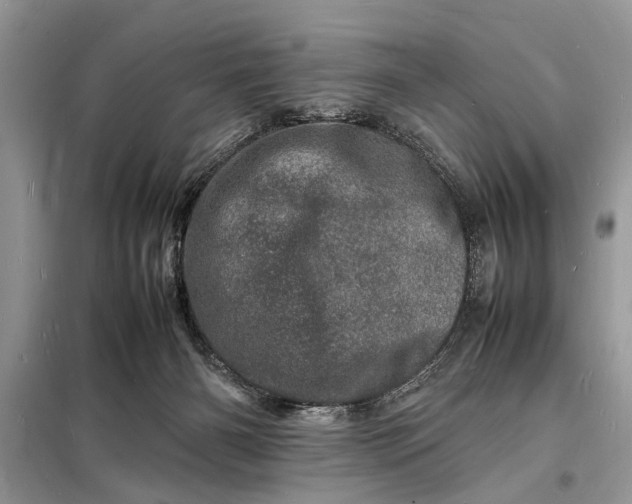 X0000098180126200805081033