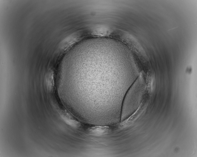 X0000098180128200805081033