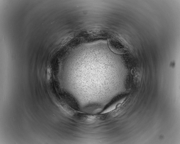 X0000098180130200805081033