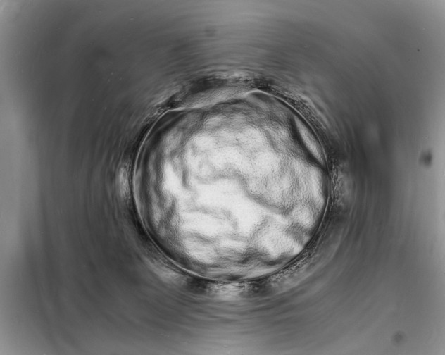 X0000098180131200805081033