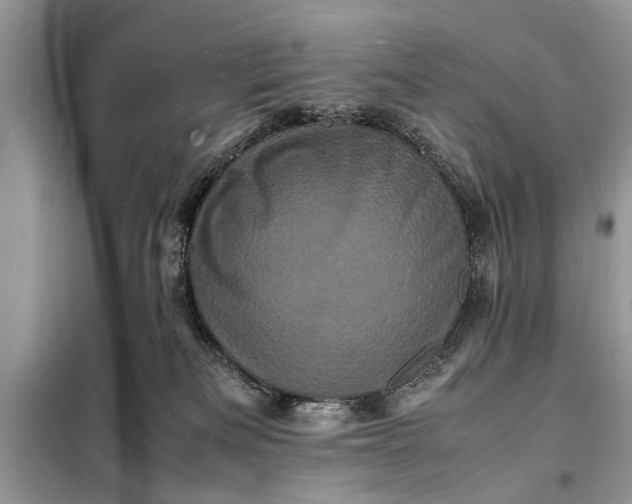 X0000098180133200805081033