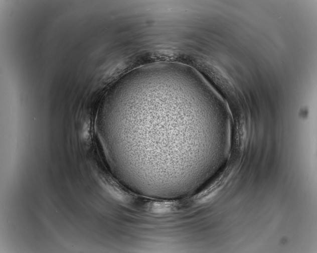 X0000098180134200805081033