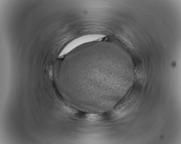 X0000098180141200805081033