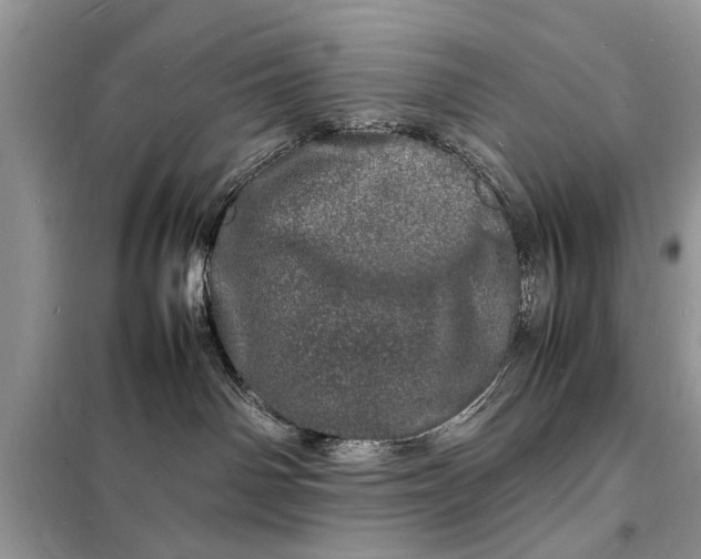 X0000098180142200805081033