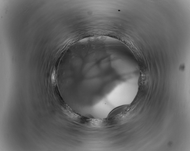 X0000098180143200805081033