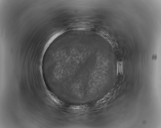 X0000098180147200805081032