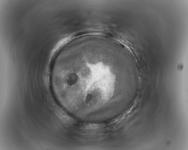 X0000098180149200805081032