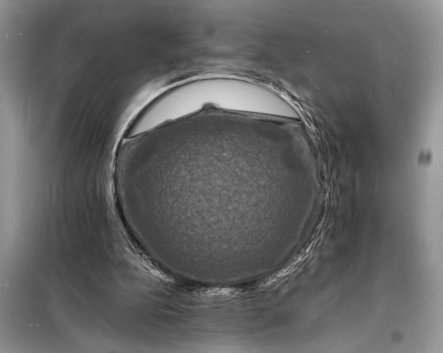 X0000098180152200805081032