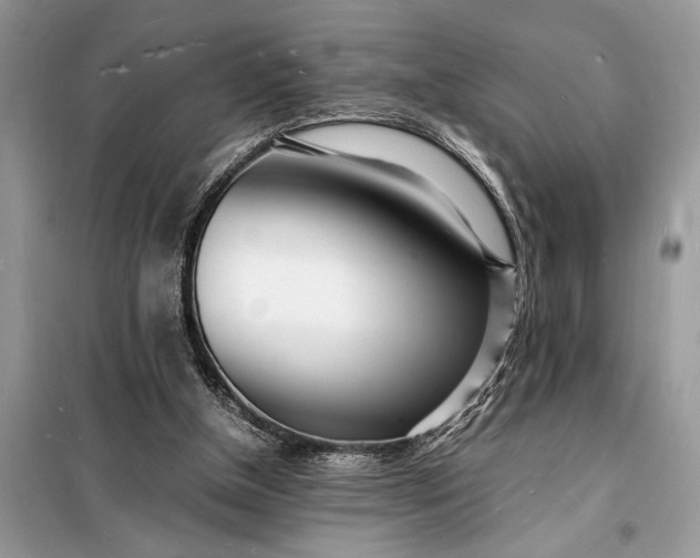 X0000098180154200805081032