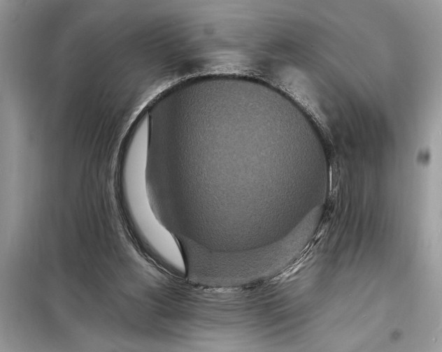 X0000098180156200805081032