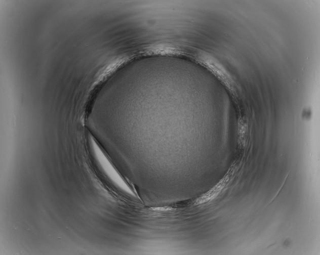 X0000098180158200805081032