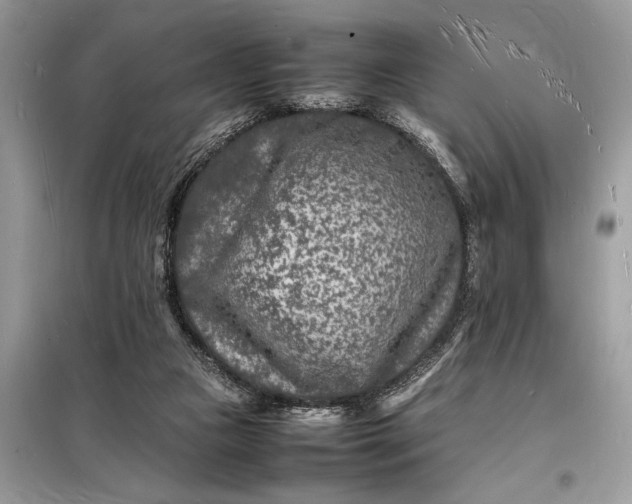 X0000098180161200805081032