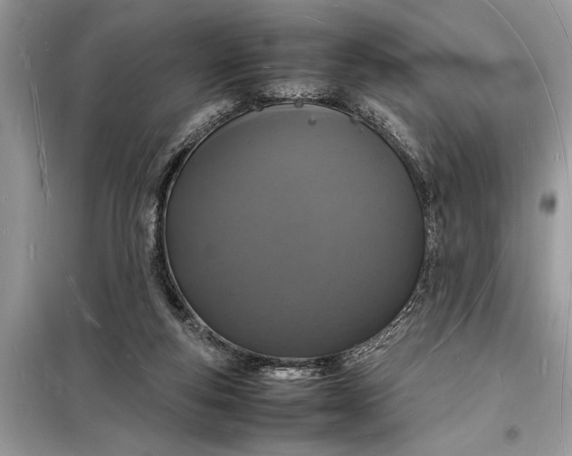 X0000098180163200805081032