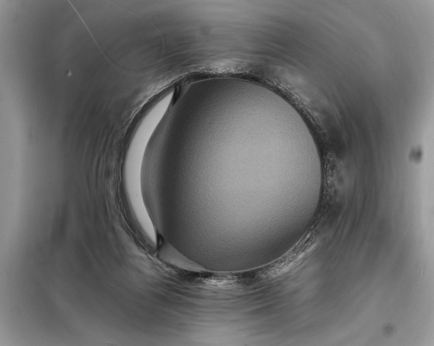 X0000098180164200805081032