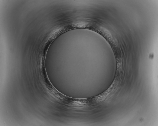 X0000098180167200805081032