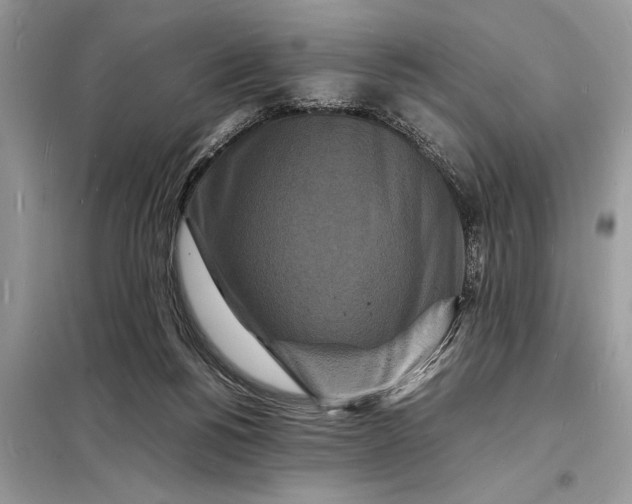 X0000098180168200805081032