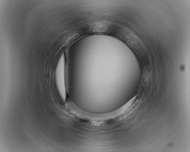 X0000098180172200805081032