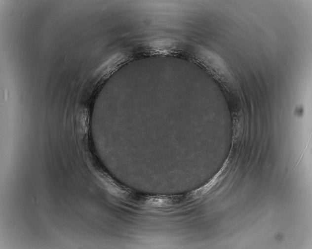 X0000098180174200805081032