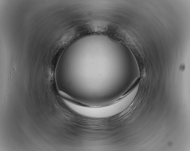 X0000098180176200805081032