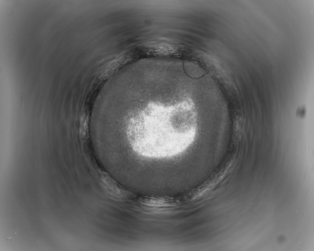 X0000098180177200805081032