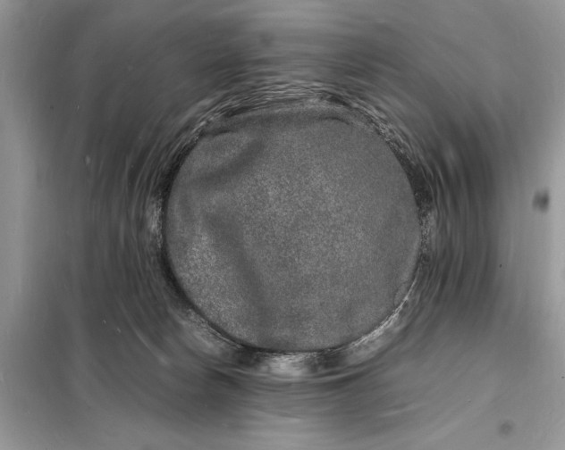 X0000098180178200805081032