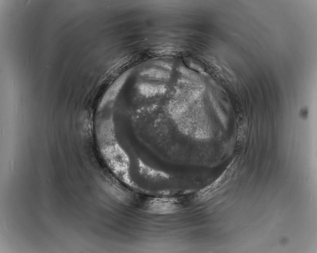 X0000098180179200805081032