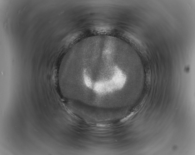 X0000098180181200805081032