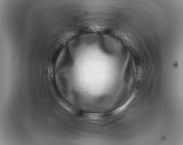 X0000098180182200805081032