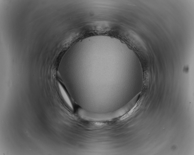 X0000098180184200805081032