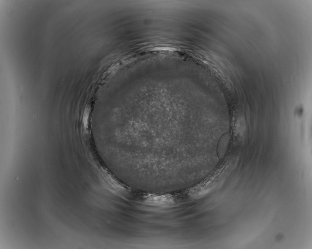 X0000098180185200805081032