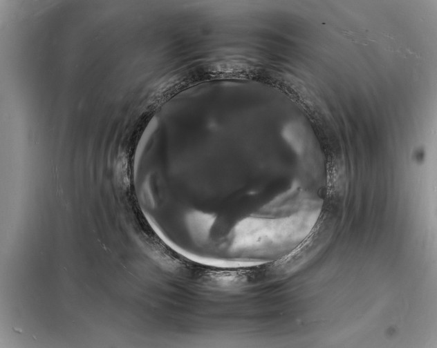 X0000098180187200805081033