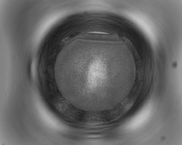 X0000098180189200805081033